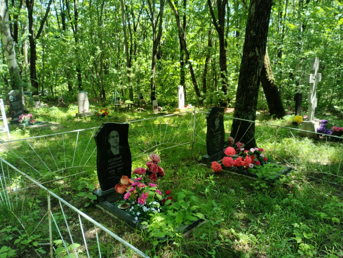 Бедный Сергей Николаевич