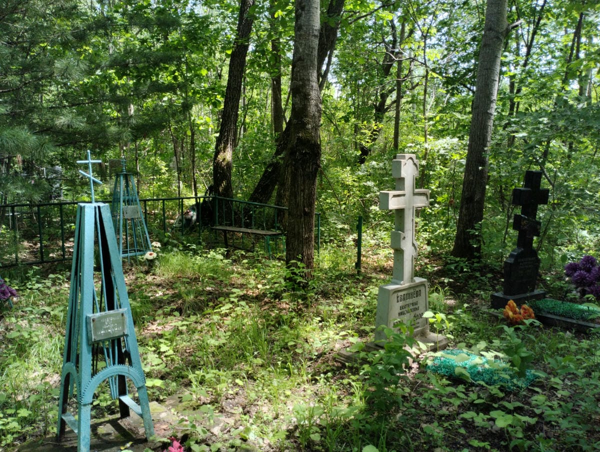 Квашнева Екатерина Николаевна