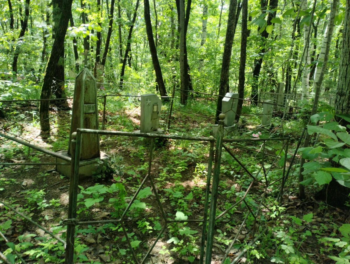 Шляховский Александр Ерофеевич