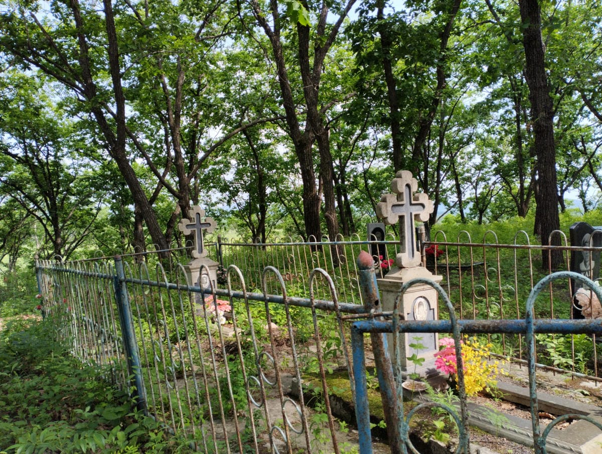 7b5e4986-9345-44bb-9a56-fd1b4d231008 Николаева Татьяна Евменовна