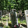 Дмитриенко Василий Николаевич