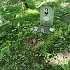 Кравчук Феодосья Прокопьевна