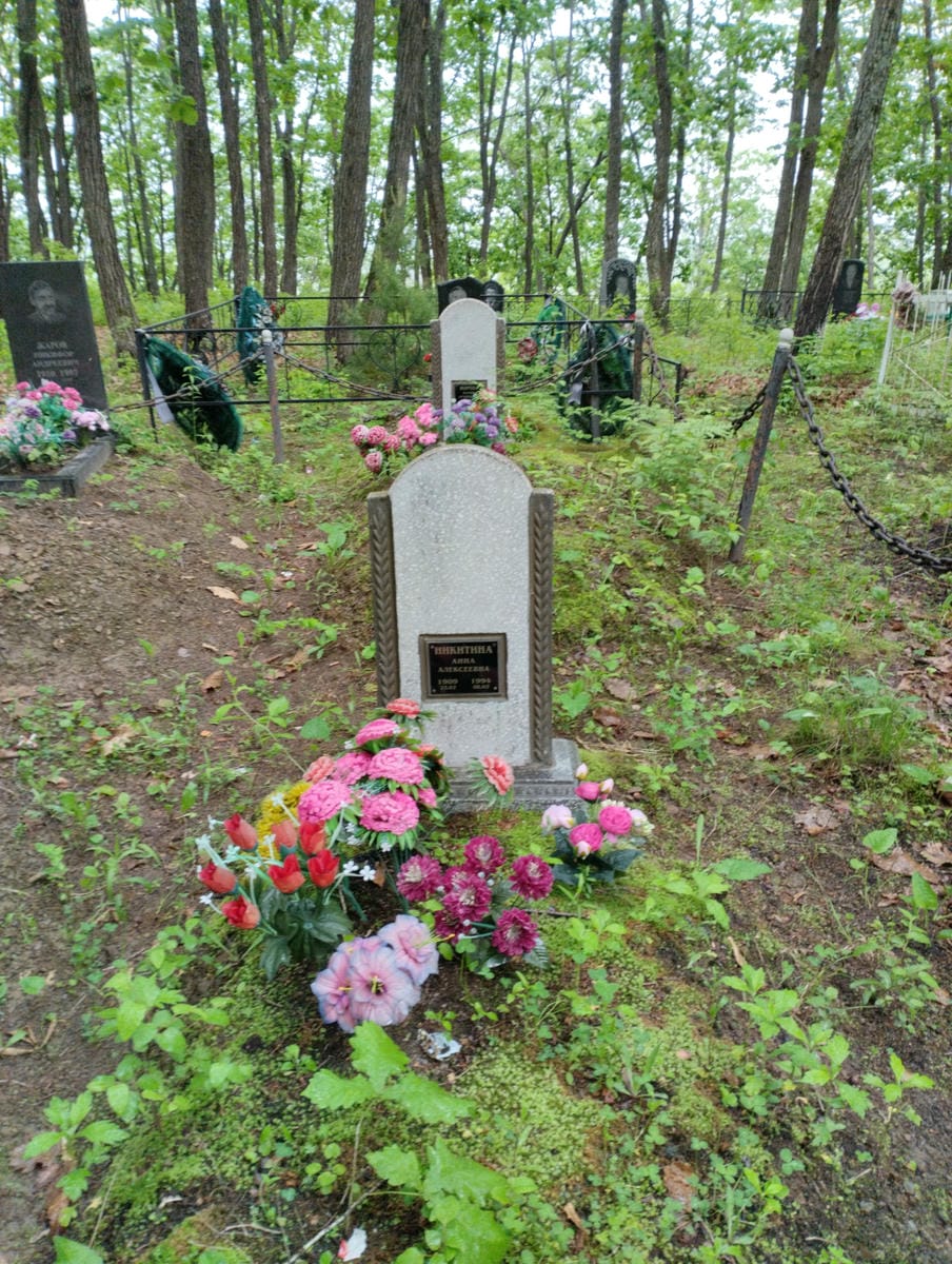 80291a22-152b-4f81-81a3-d8ba015a0c93 Никитина Анна Алексеевна