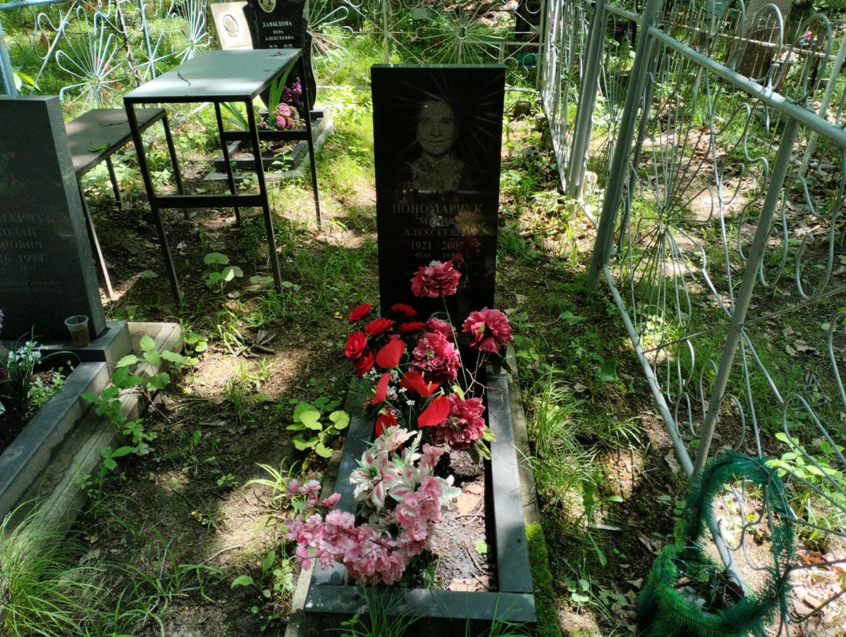 81662786-dd88-498c-a24a-d6ca339f7d97 Пономарчук Мария Алексеевна