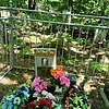 Казарцева Надежда Кирилловна