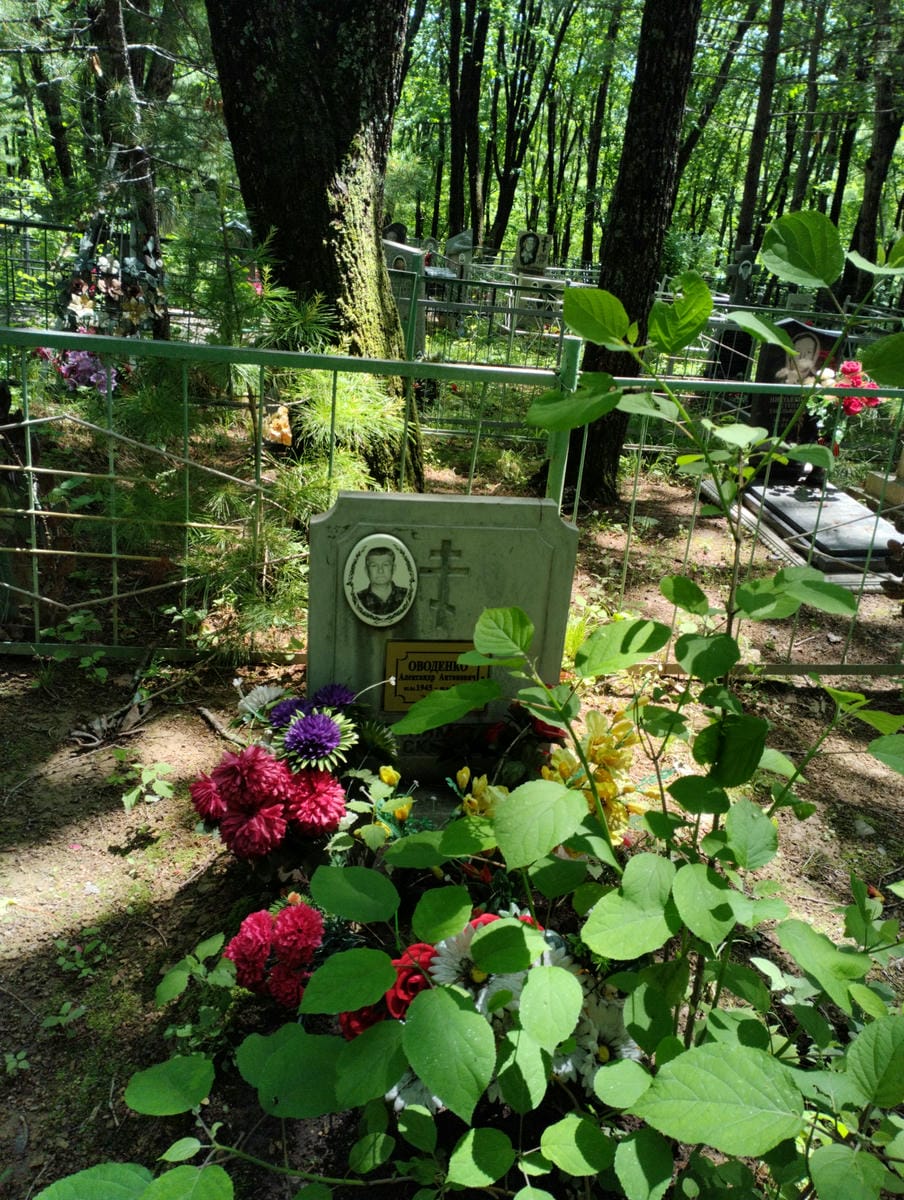 898f56ee-3f83-493f-b6e1-013ec66a8f4c Оводенко Александр Антонович