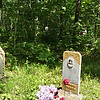 Тулаева Татьяна Ивановна