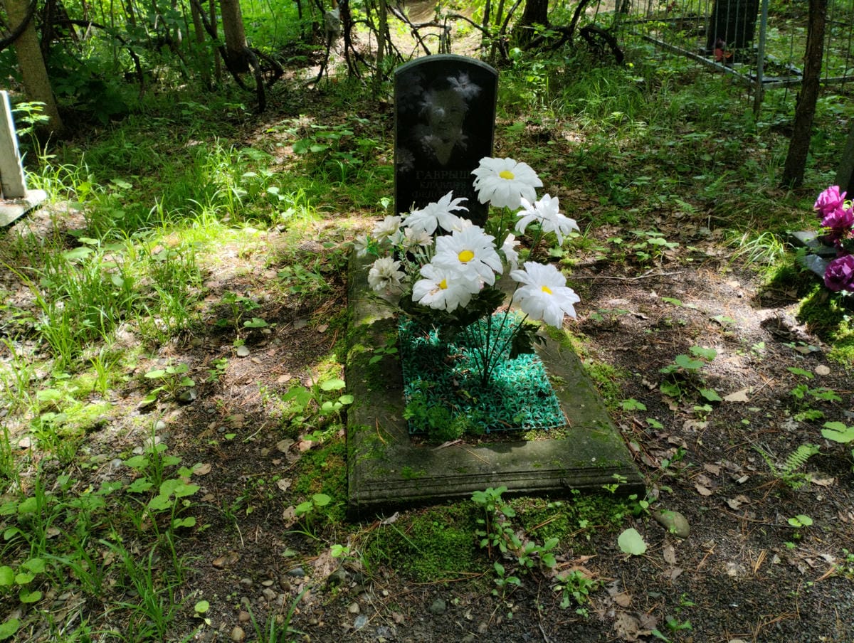 8dfdd31d-a9d3-4e93-8132-8f300578e4bf Гаврыш Клавдия Федотовна