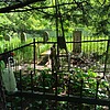 Беловол Виктор Павлович