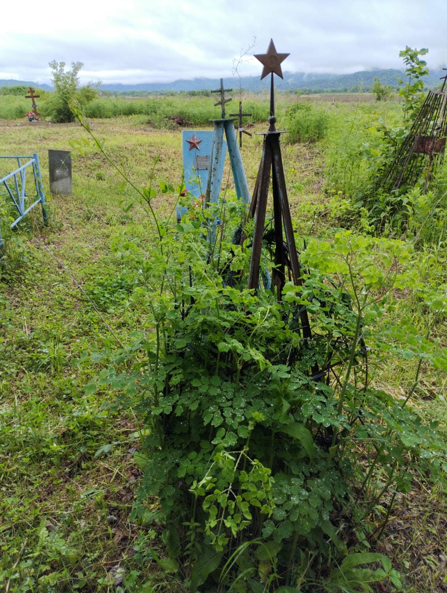 Неизвестно Неизвестно Неизвестно
