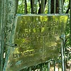 Казарцева Мария Андреевна