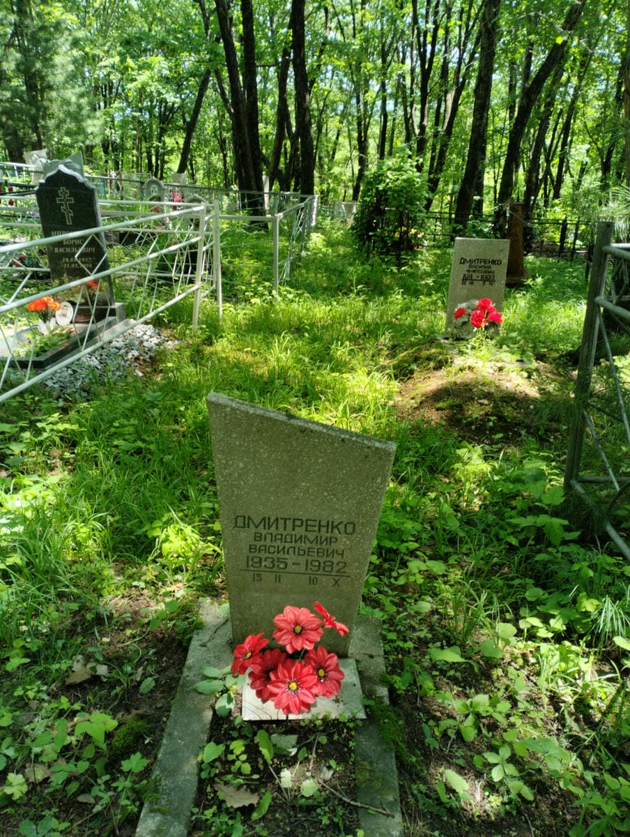 974a4e9a-6246-4532-84ee-537549483ce6 Дмитриенко Владимир Васильевич