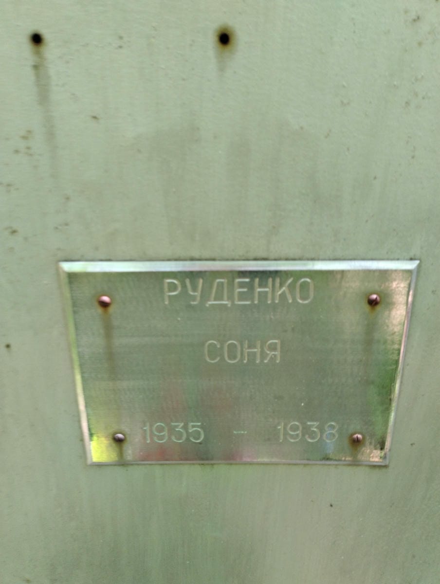 99070b5f-ce2b-4322-a670-2889e9f27abf Руденко Соня Неизвестно