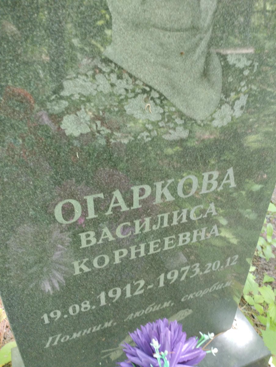 9c431217-f7fa-465e-965c-09fa138ba2a6 Огаркова Василиса Корнеевна