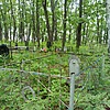 Ретунский Ю П