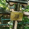 Рыжкова Наталья Андреевна