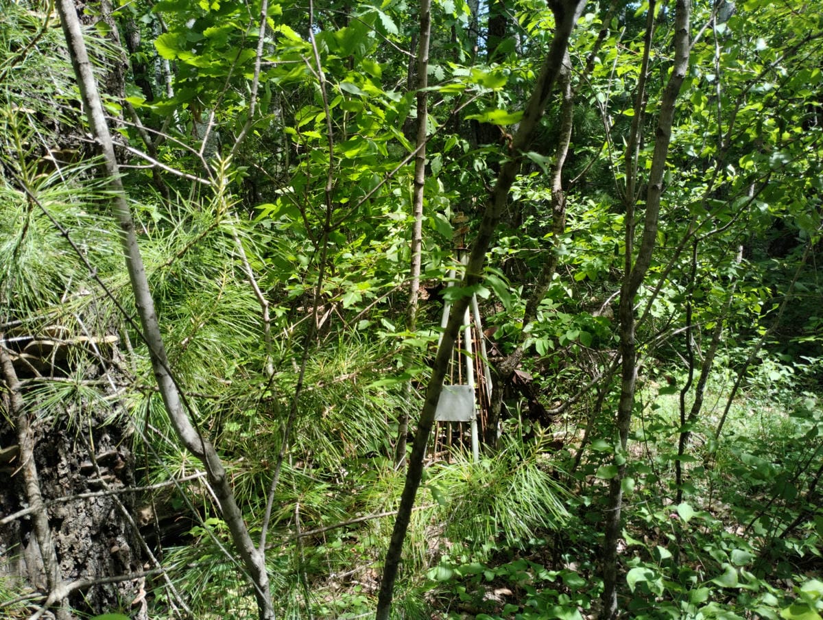 Сторожук Степан Дмитриевич