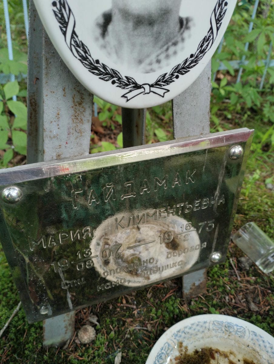9ea549f3-6357-43d5-81c1-00d510b5643b Гайдамак Мария Климентьенва