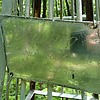 Огиенко Максим Яковлевич