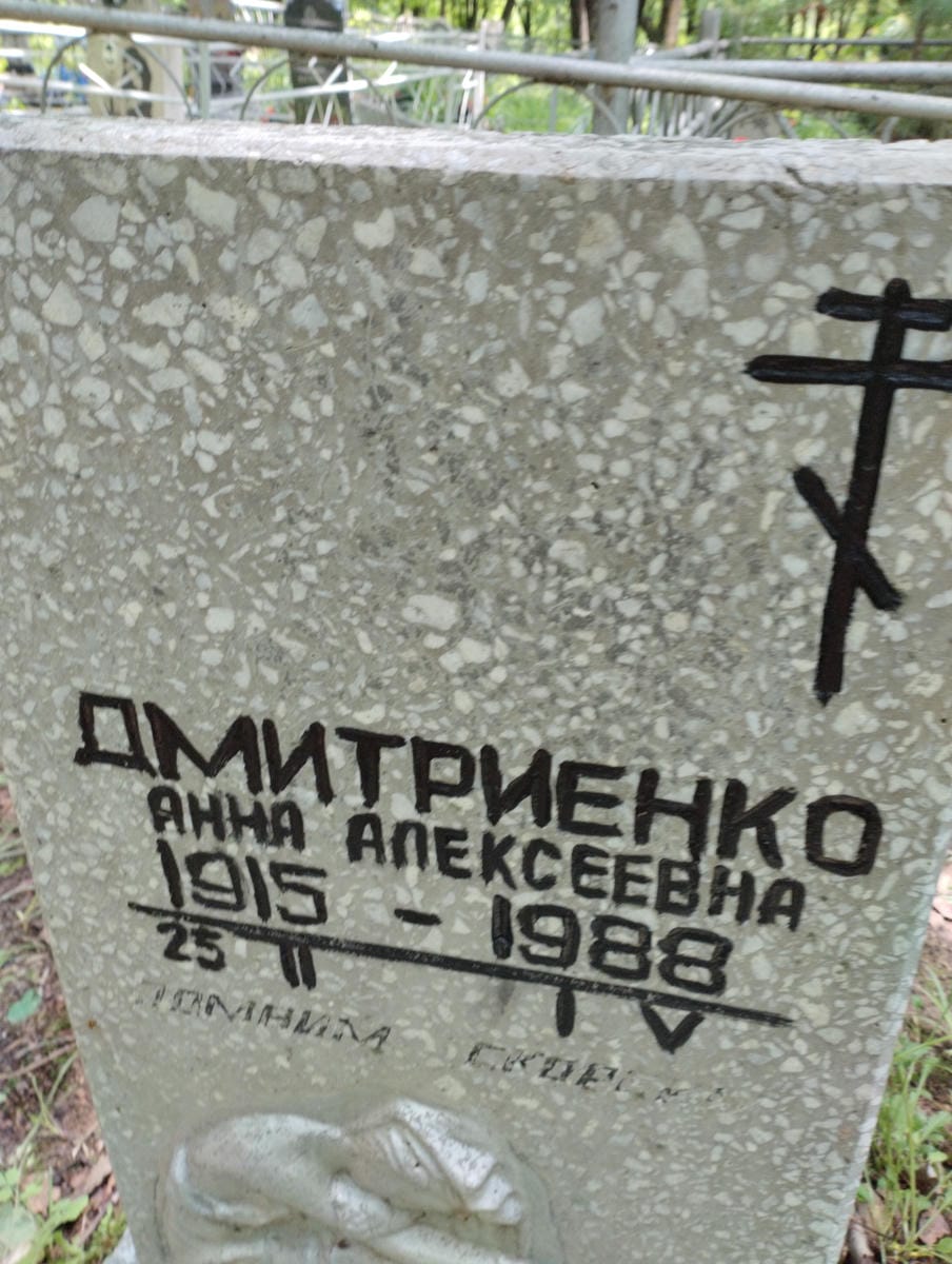 a318ad91-1149-461b-82ca-f740fb70c5c7 Дмитриенко Анна Алексеевна