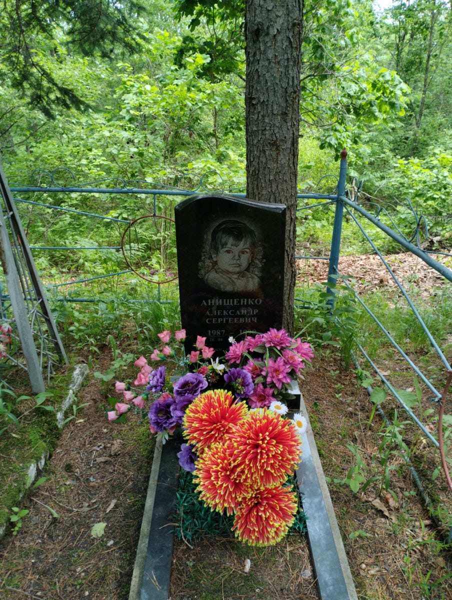 Анищенко Александр Сергеевич