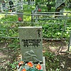 Дмитриенко Анна Алексеевна