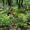 Высоцкий Геннадий Петрович