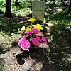 Кожихова Зинаида Васильевна