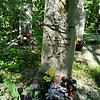 Король Елизавета Ананьевна