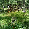 Немилостивая Ирина Николаевна