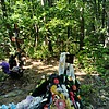 Курносенко Максим Сергеевич