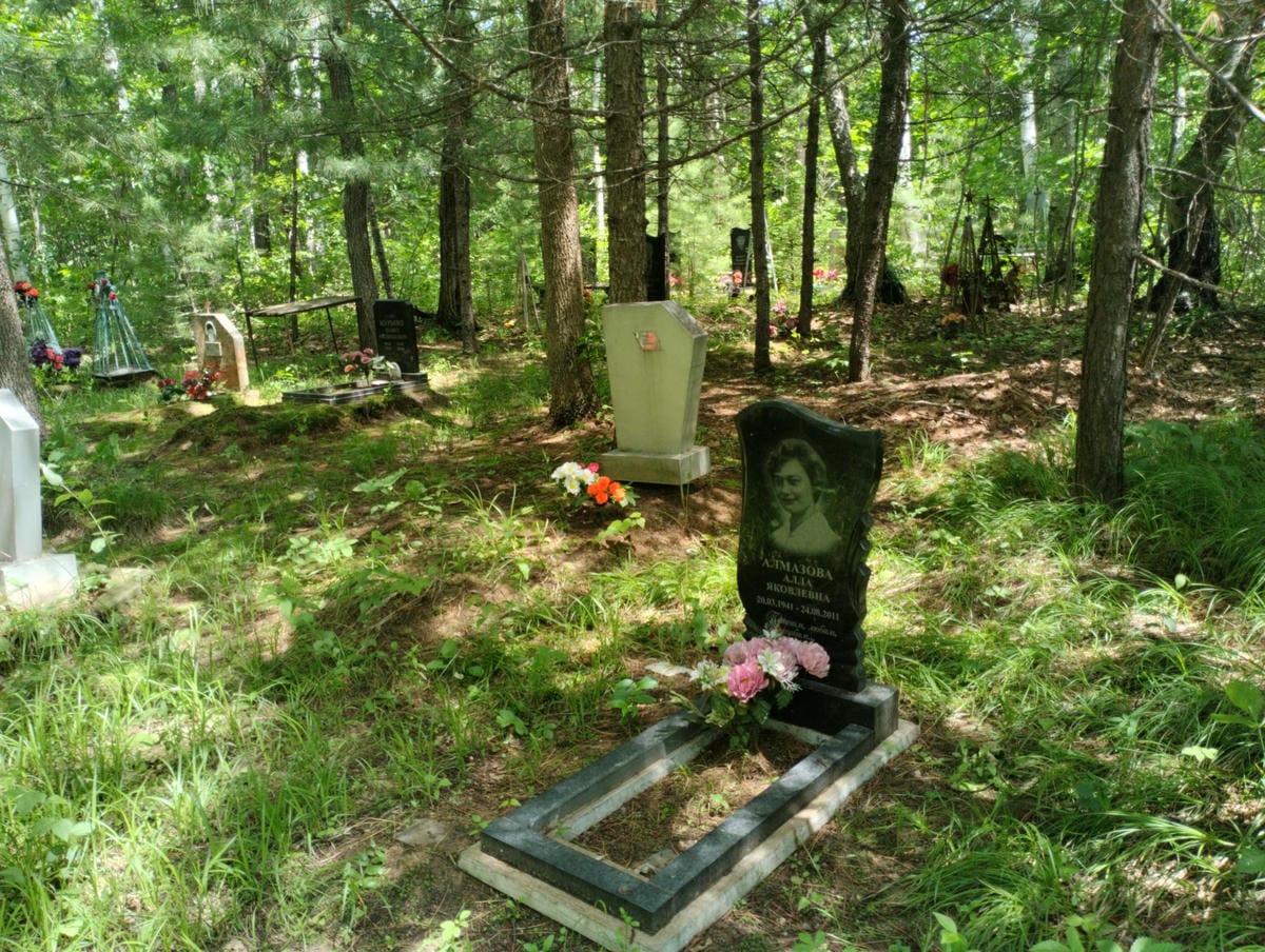 b3f7f50f-1cbe-4f2f-90c6-6cd3f11bdeb1 Алмазова Алла Яковлевна