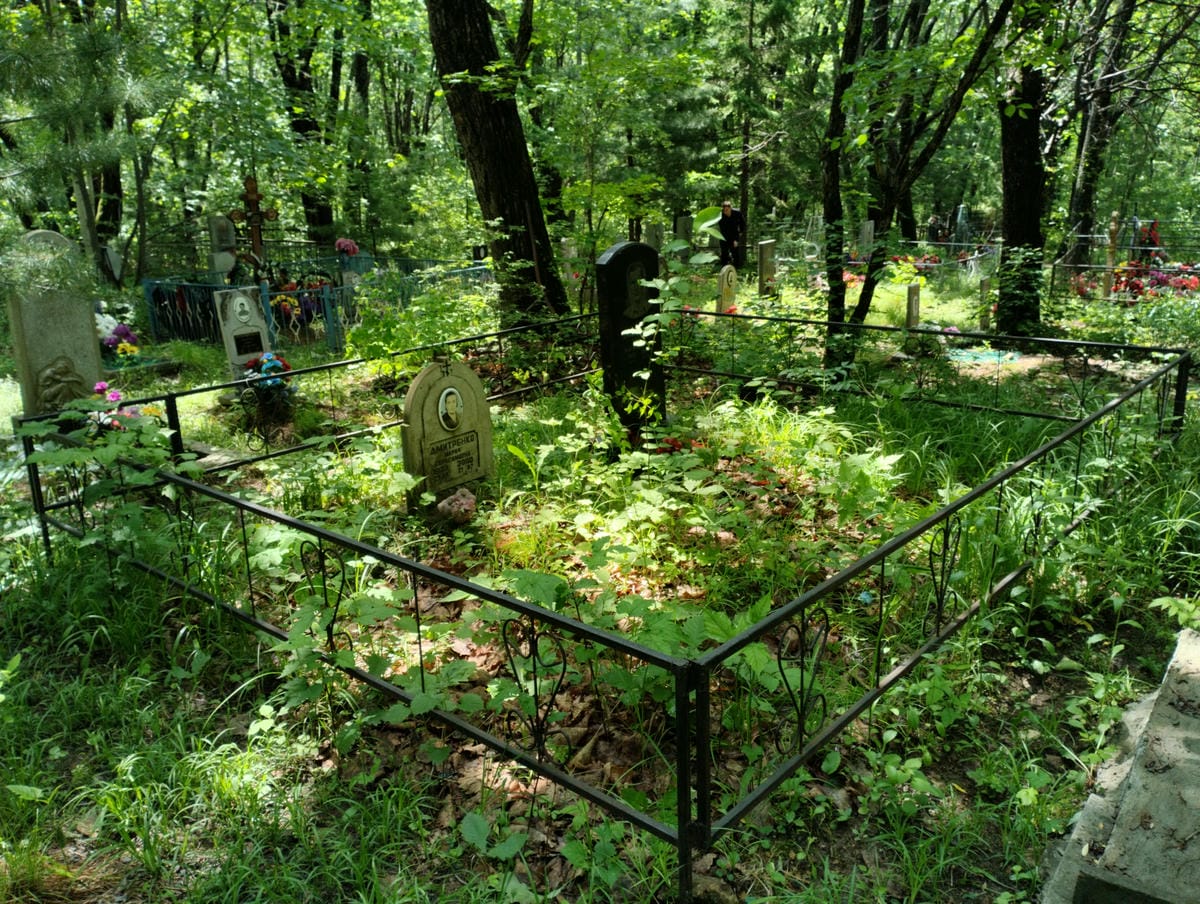 b41d0da3-9a1c-403e-9982-56b29d064292 Дмитренко Мария Герасимовна