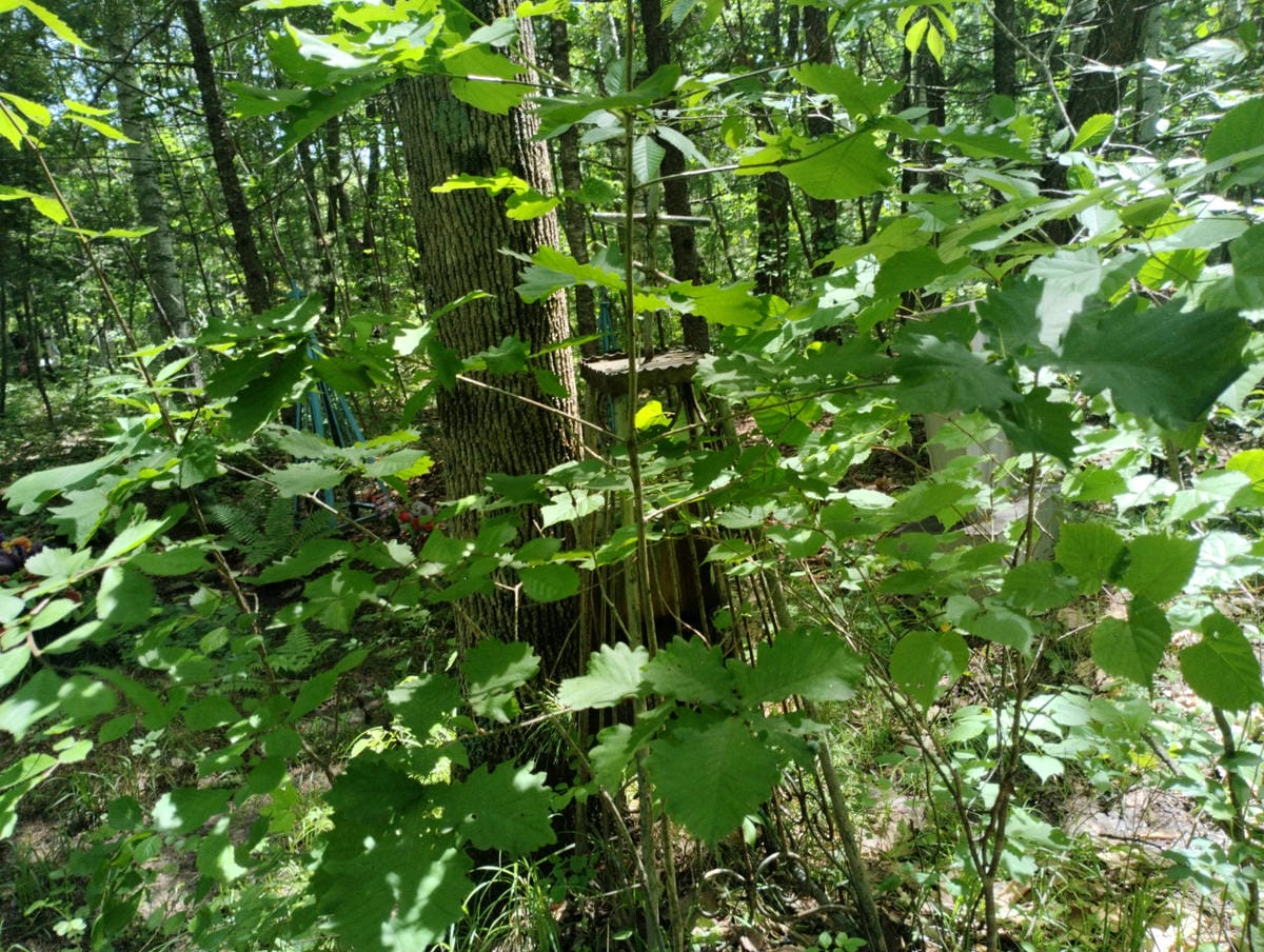 Неизвестно Неизвестно Неизвестно