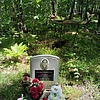 Колесникова Лариса Николаевна