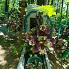 Фефелов Григорий Сергеевич