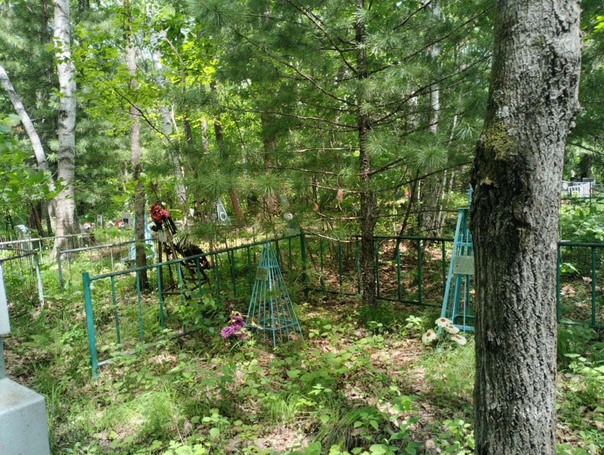 c0b4f2a4-3aad-4356-ad2f-d759bfde1f95 Веневцев Александр Викторович