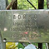 Лойко Анастасия Николаевна