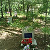 Сухарникова Прасковья Афанасьевна