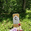 Тулаева Татьяна Ивановна
