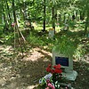 Сухарникова Прасковья Афанасьевна