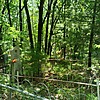 Бабийчук Афанасий Гаврилович