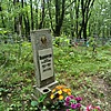 Пушкарева Дарья Евтихоновна