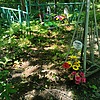 Мурылёв Елизар Иванович