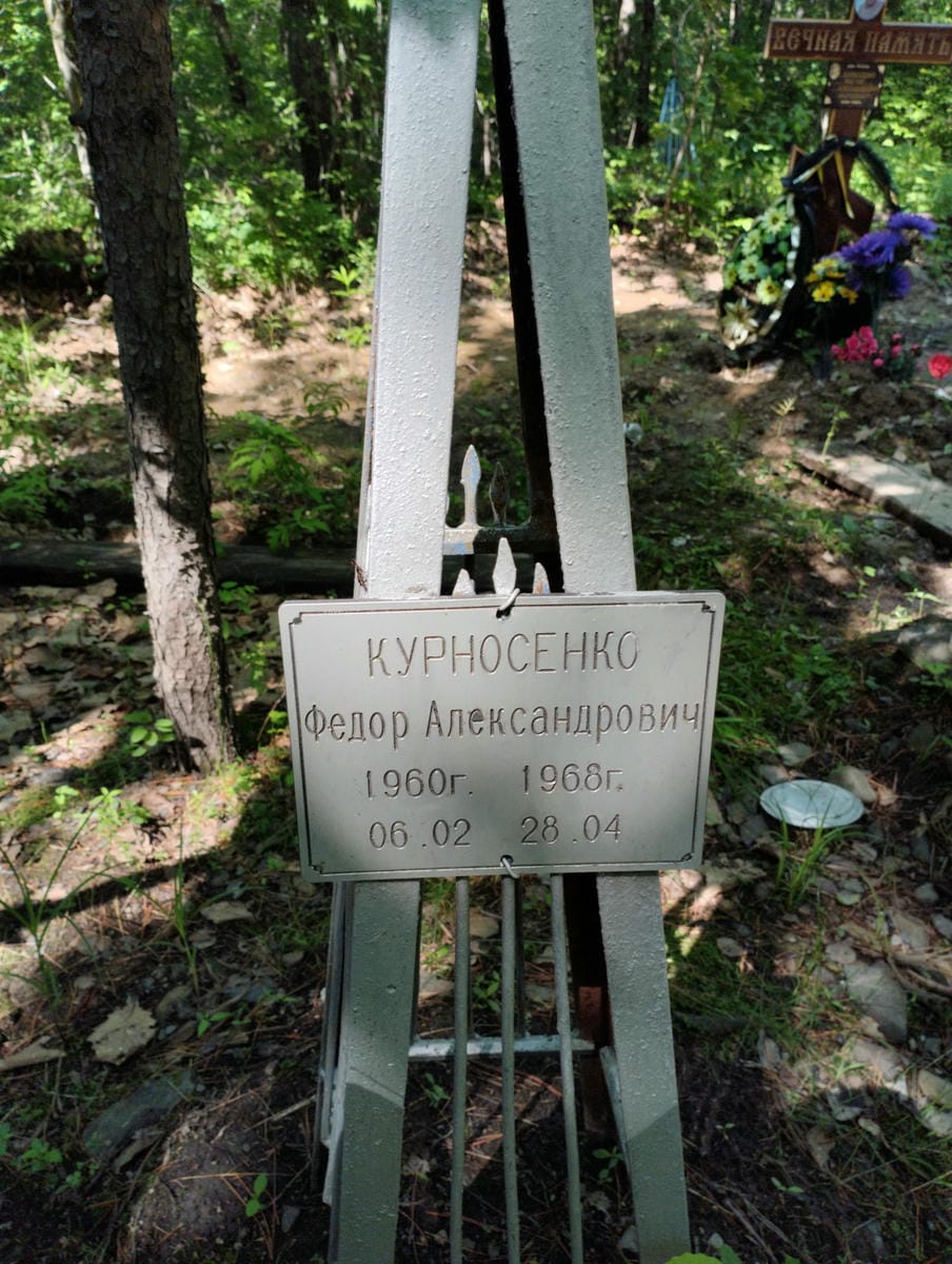 c9d3aa30-e7d4-411b-9861-d8a284f9360e Курносенко Федор Александрович