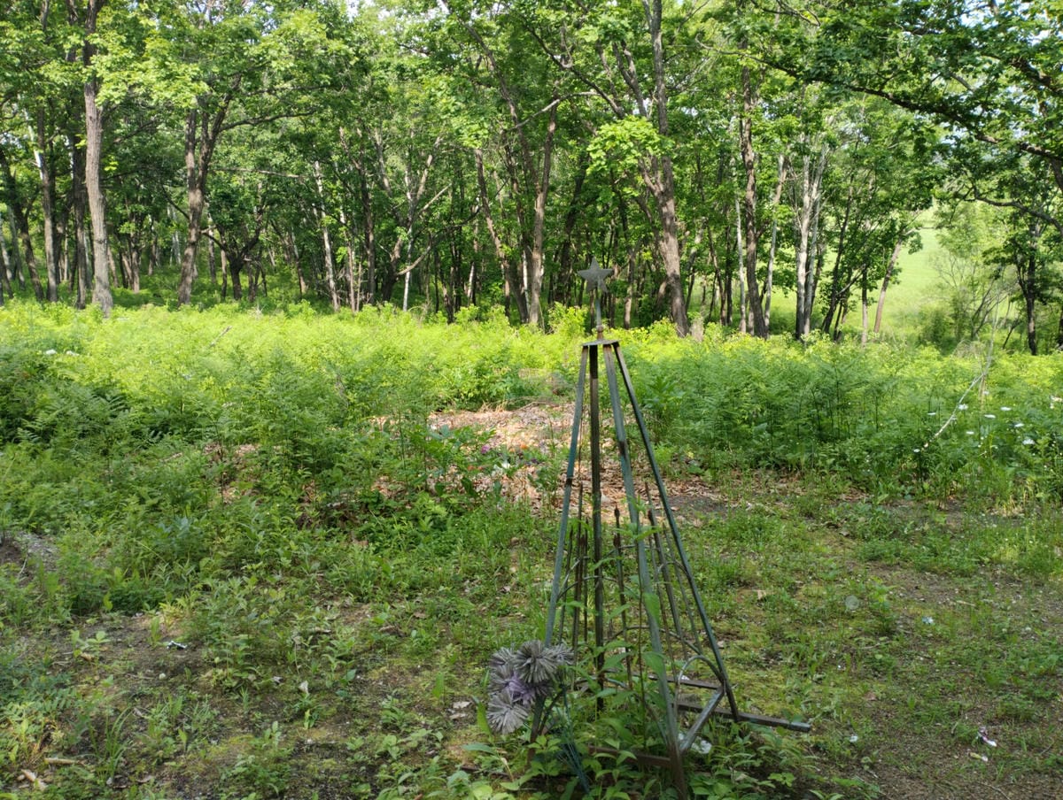 Неизвестно Неизвестно Неизвестно