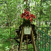 Неизвестно Неизвестно Неизвестно