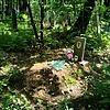 Сутемьев Андрей Анатольевич