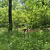 Лойко Анастасия Николаевна