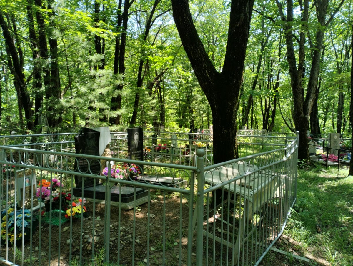 d59eef2d-55d2-4741-8346-89c0befec883 Казарцев Семен Павлович